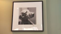 Photo of Otto